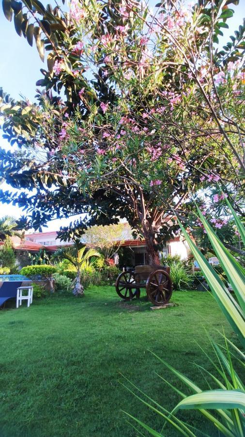 Seaview Beach Resort Sibulan Exterior photo
